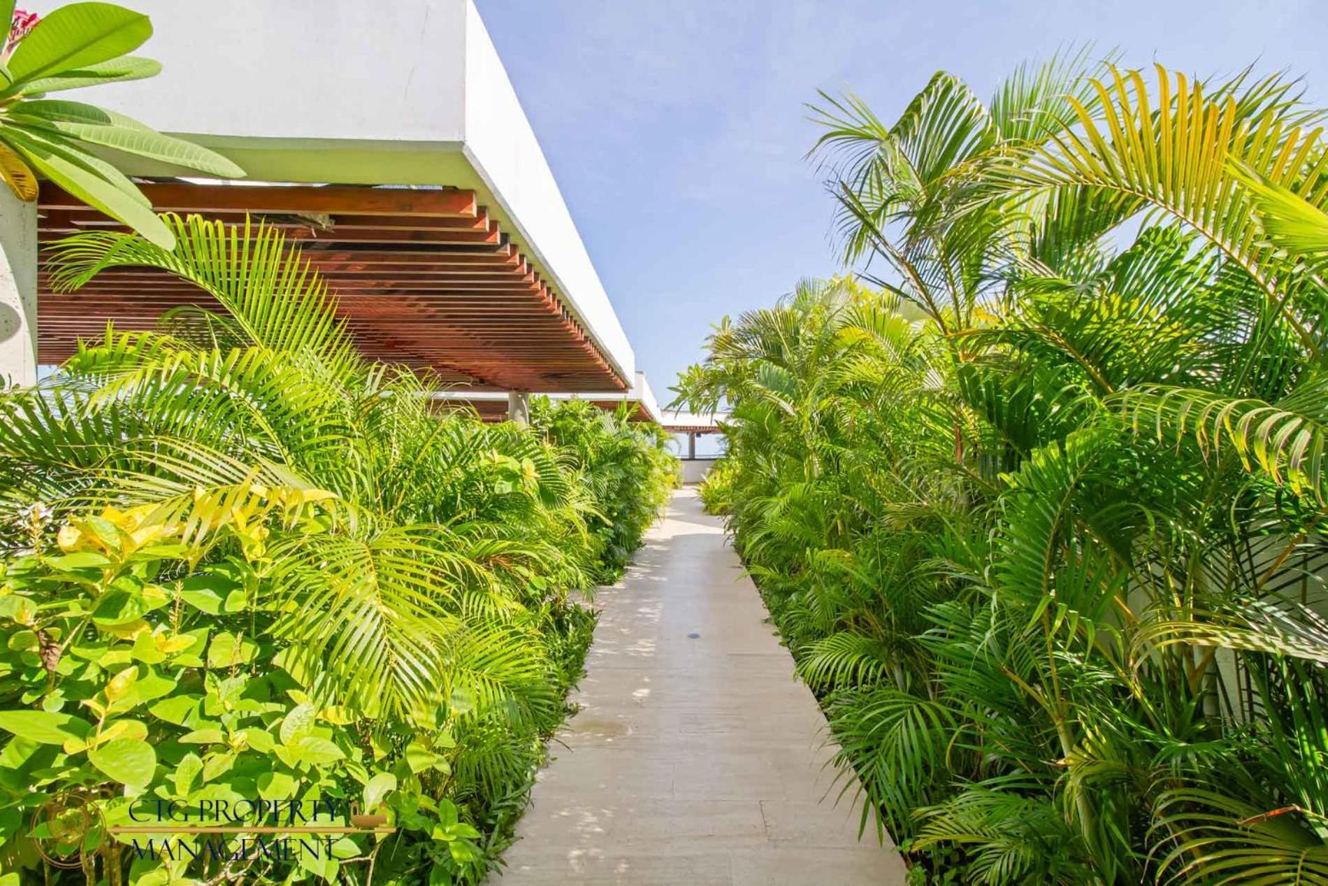 Martinique Cartagena, Beautiful 1 & 2 Bedroom Apartments Екстер'єр фото